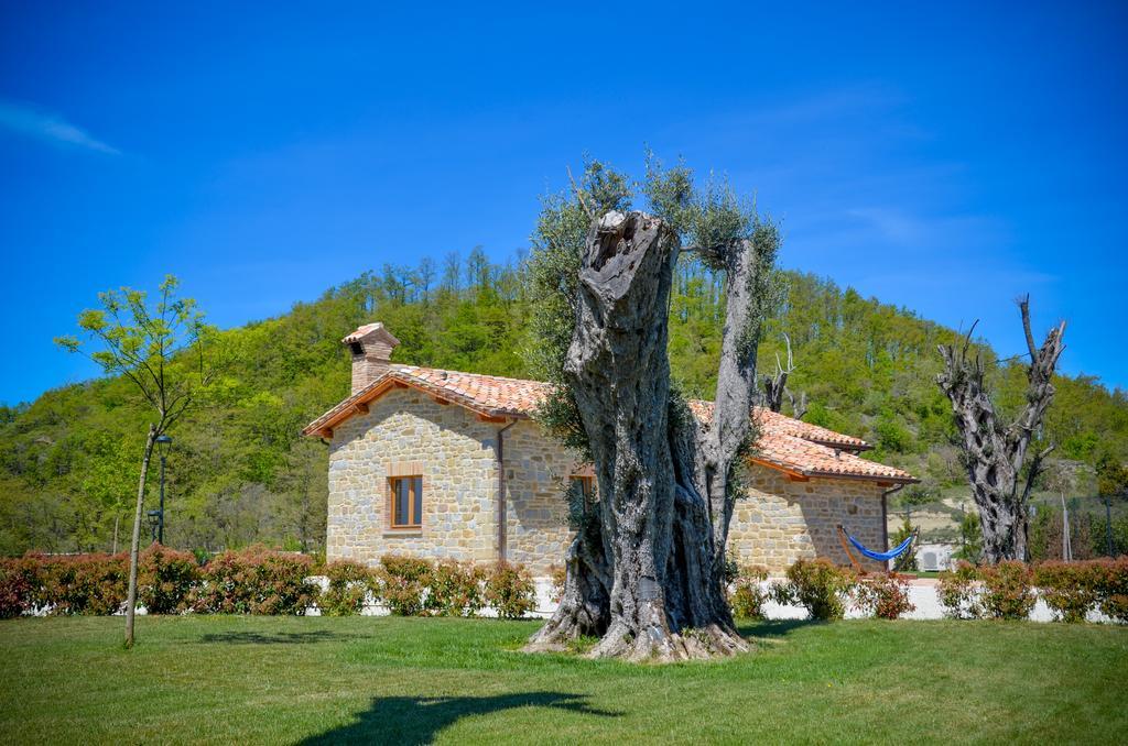 Tenuta Borgo Santa Cecilia Γκούμπιο Εξωτερικό φωτογραφία
