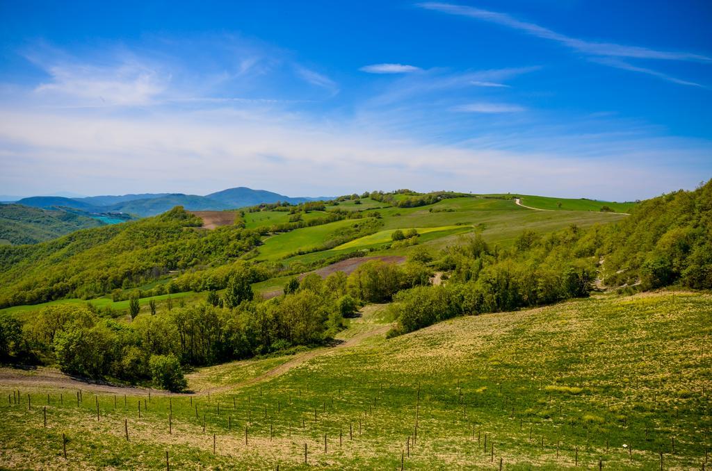 Tenuta Borgo Santa Cecilia Γκούμπιο Εξωτερικό φωτογραφία